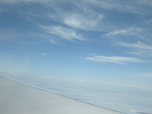 988365798_c674d44b_C5A9B1E2BAAFC8AF_BBE7C1F8%2B050.jpg