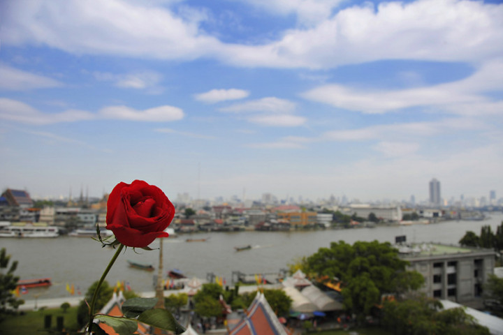 1846230696_2uH1vyqz_DSC_3274.jpg