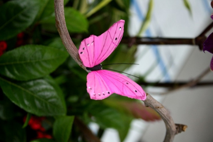 990250789_fecae8b3_2.jpg