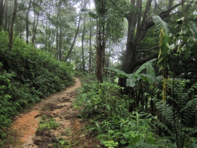 2875501541_0J16vDsG_ED81ACEAB8B0EBB380ED9998_nature_adventure_center_mountain_bike_riding_downhill_chiang_mai_north_thailand.jpg