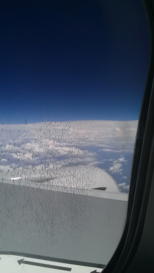 3024323326_j7bYQH5d_IMAG2245.jpg