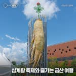 충남 금산 여행, 금산 삼계탕 축제와 함께 가볼 만한 여행지 추천 :: 금산세계인삼엑스포 광장, 금산인삼약령시장, 월영산 출렁다리