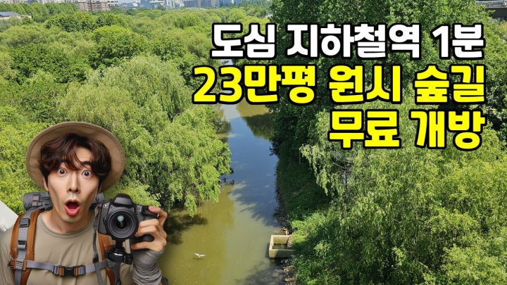 국내 최초! 서울에서 23만평의 원시 숲길을 만나다 | 국내 최초 생태공원! | 도심산책 | 대중교통 당일치기 여행ㅣ지하철 여행ㅣ트레킹 코스ㅣ서울산책