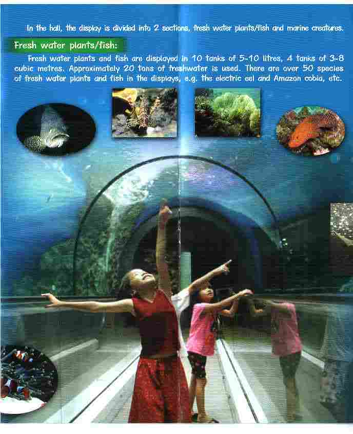 Phuket_Aquarium_3.jpg