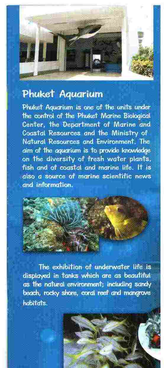 Phuket_Aquarium_4.jpg