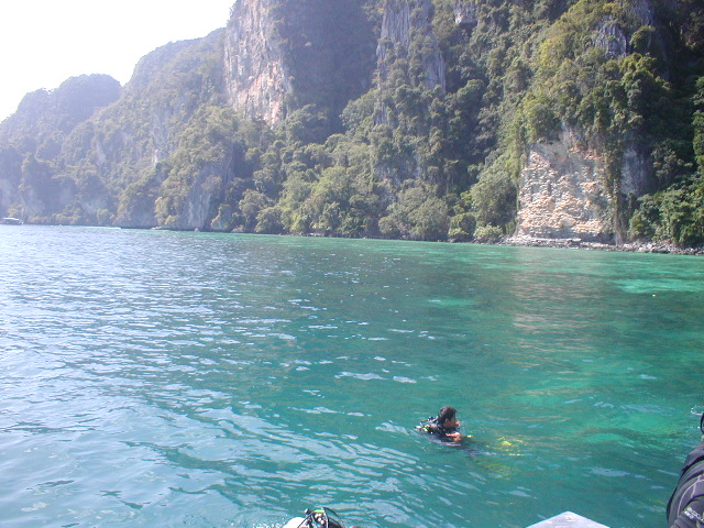 Tonsai_bay11.jpg