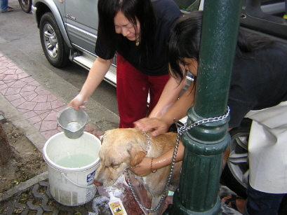 alsrn68_1122477318_01.jpg