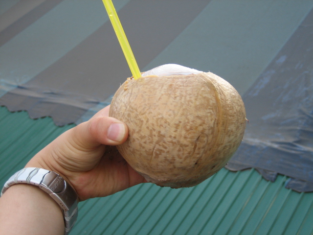 coconut2.jpg