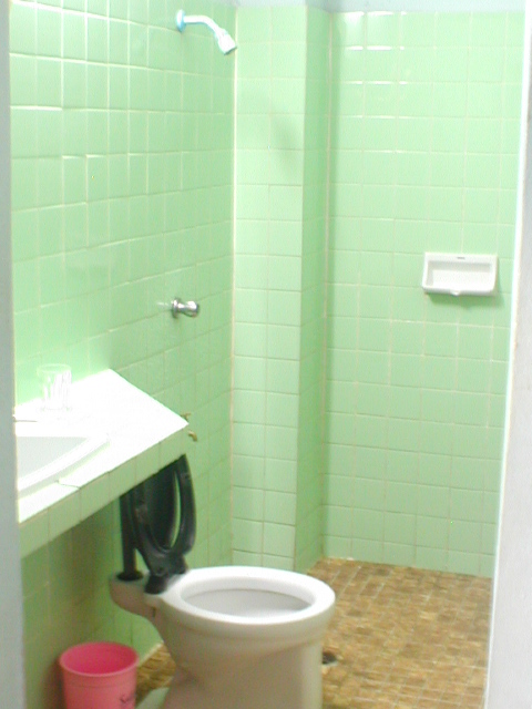 my_bathroom.jpg