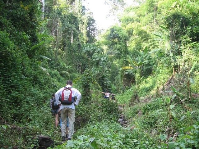 north_thailand_102.jpg