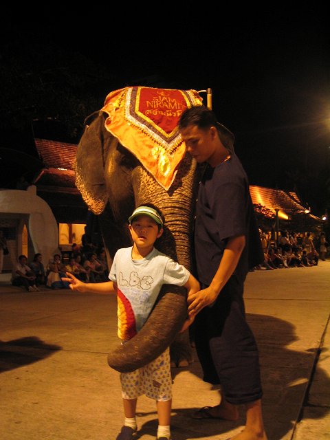08.jpg