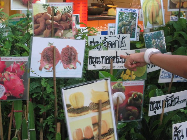 08.jpg