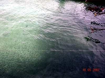 DSCN213418897118.jpg
