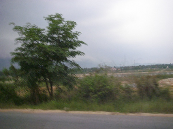 179.jpg