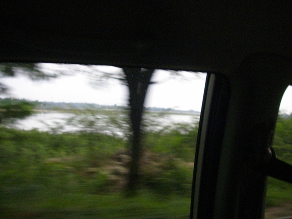 183.jpg