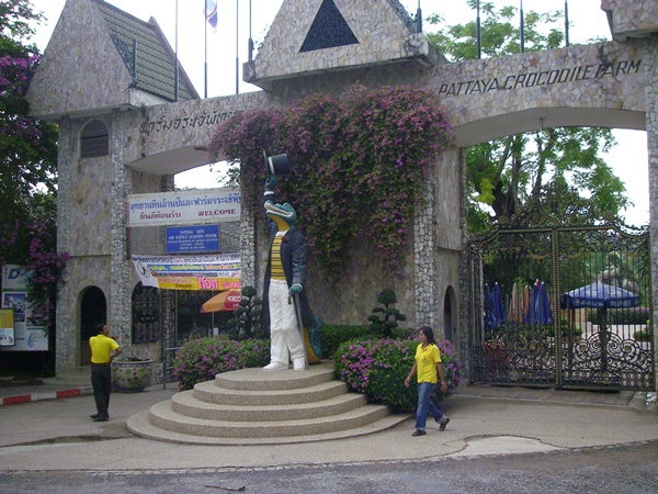 184.jpg