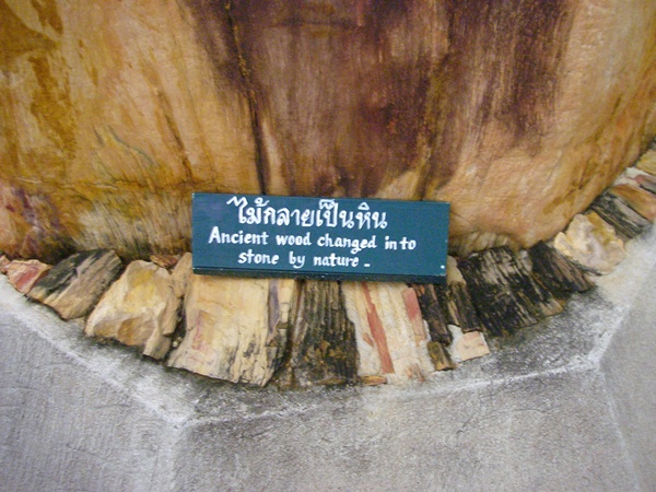 186.jpg