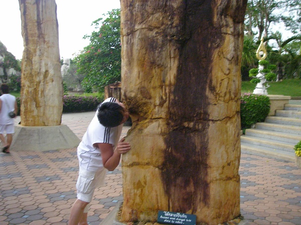 187.jpg