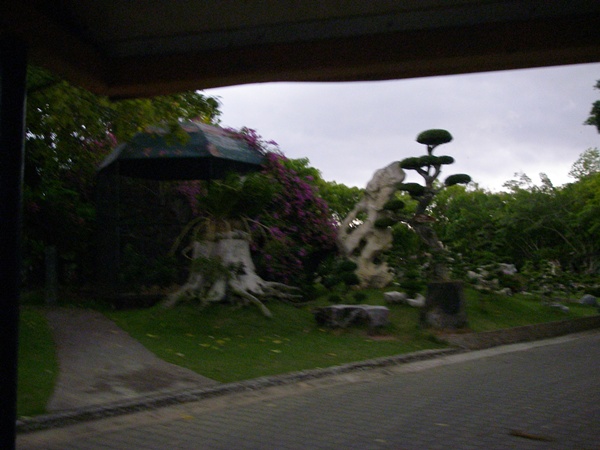 198.jpg
