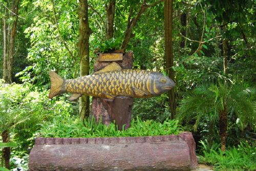 fish9.JPG