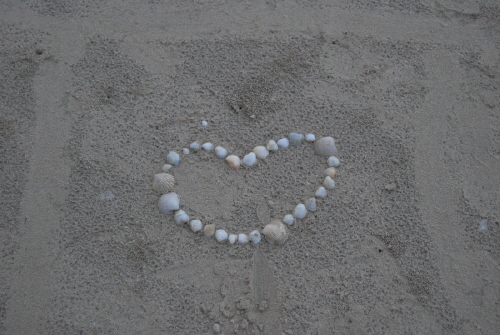 love4shell.JPG