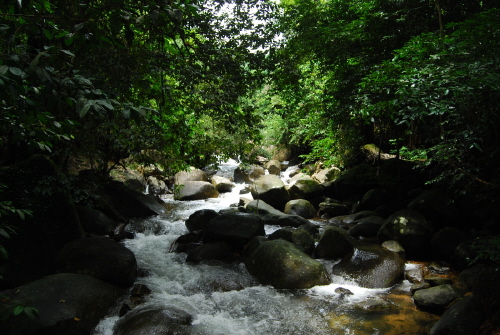 waterfall4varry.JPG