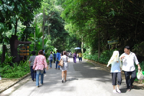 way56.JPG