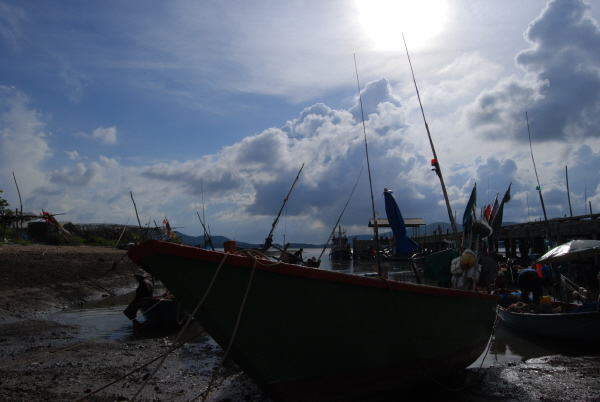 fish20vill2.JPG
