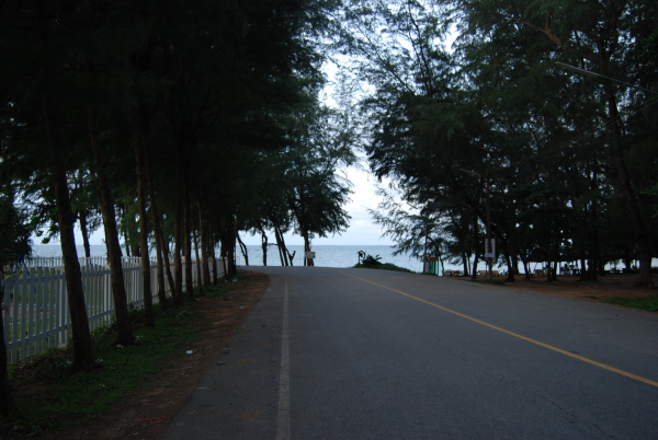 lamsadet5way1.JPG