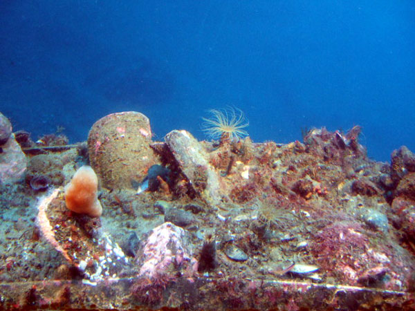 Underwater-201220.jpg