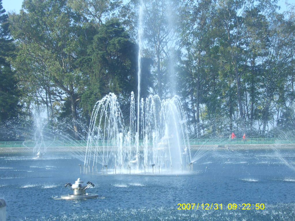 SA703151.JPG