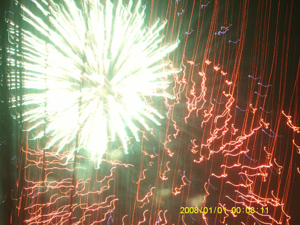 SA703170.JPG