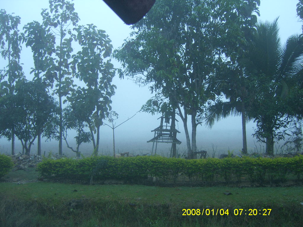 SA703194.JPG