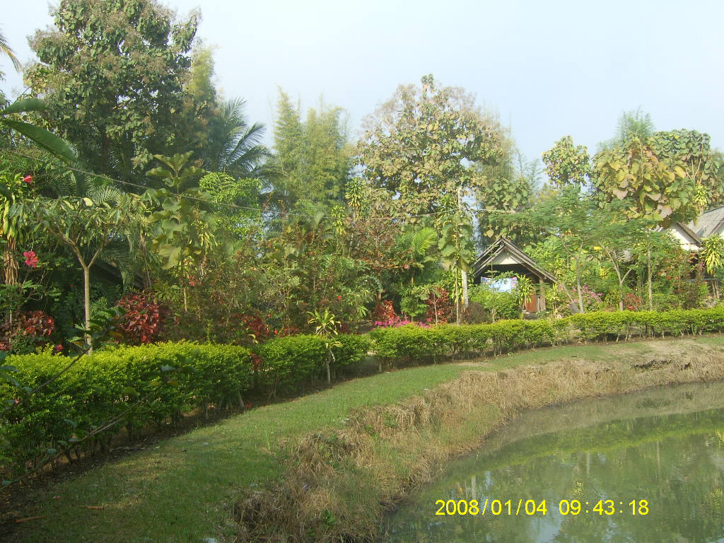 SA703199.JPG