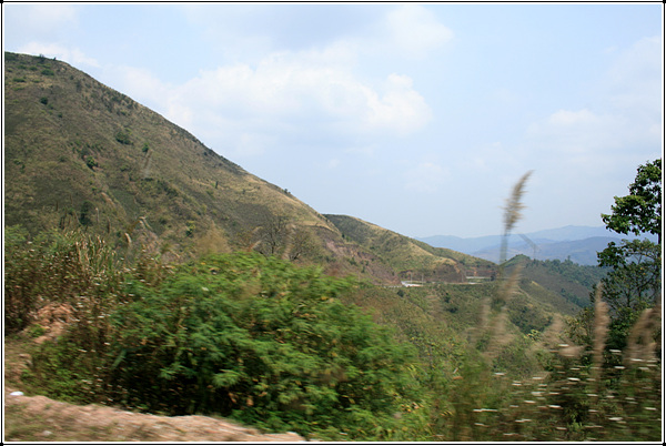 IMG_6722.jpg