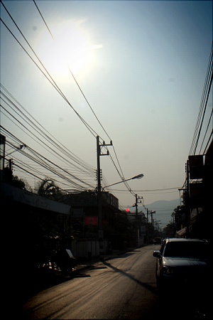 IMG_2878.jpg
