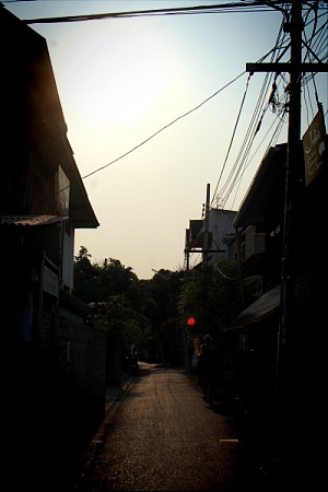 IMG_2882.jpg