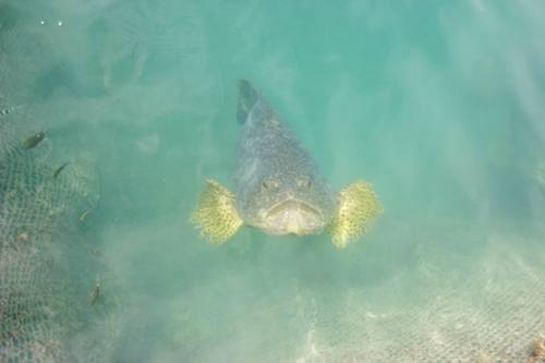 IMG_5406.jpg
