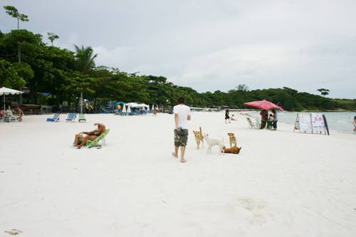 IMG_5450.jpg