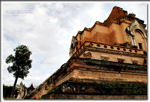 5000chiang0mai0first0day01040wat0chedi0luang.jpg