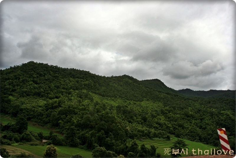 IMG_0334.JPG