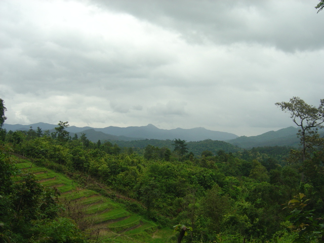 DSC09127.JPG