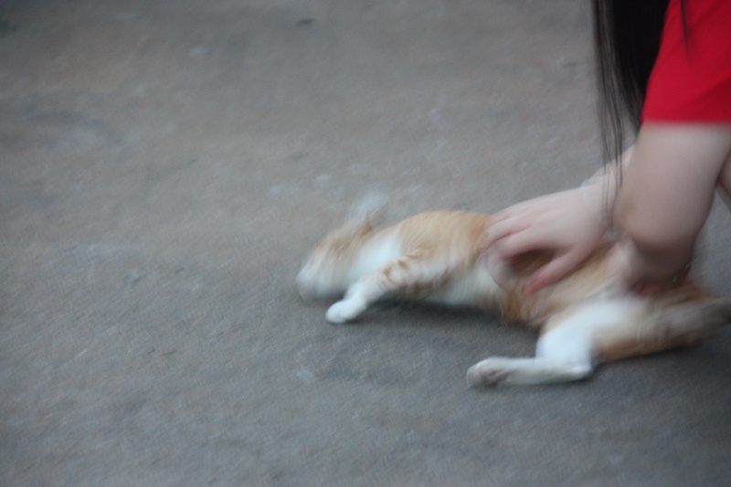 005.JPG
