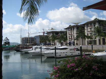 IMG_1872.jpg
