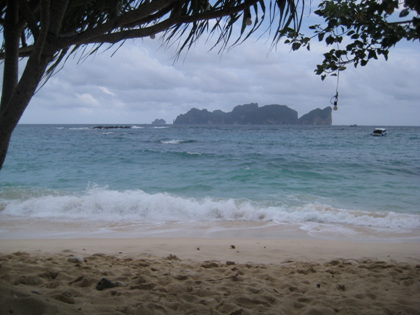 IMG_1921.jpg