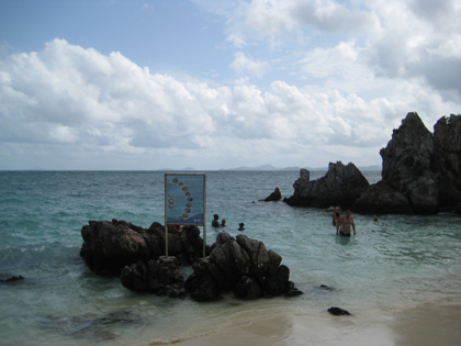 IMG_1943.jpg