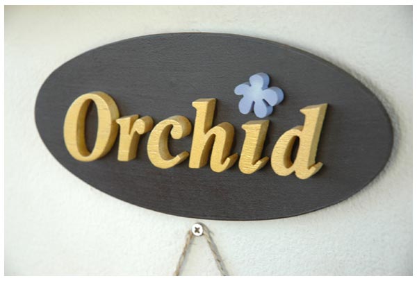 Orchid01[1].jpg